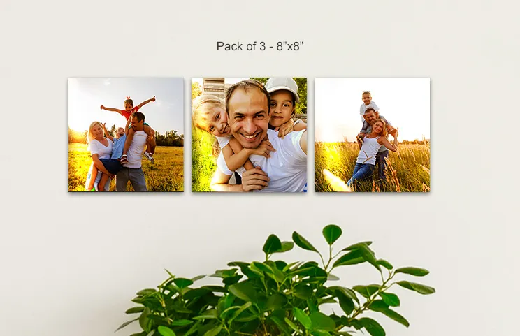 8x8 metal displays of family in field