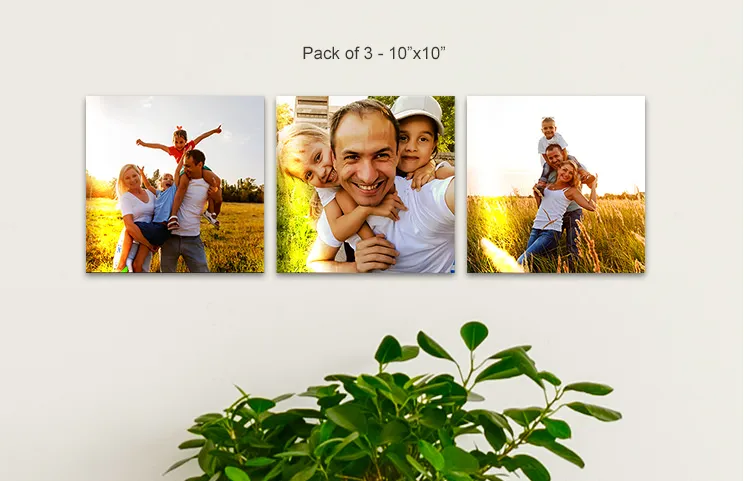 10x10 metal displays of family in field