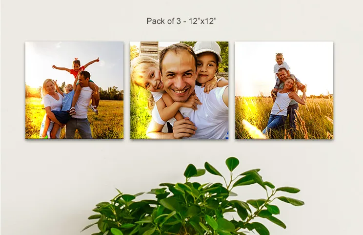 12x12 metal displays of family in field