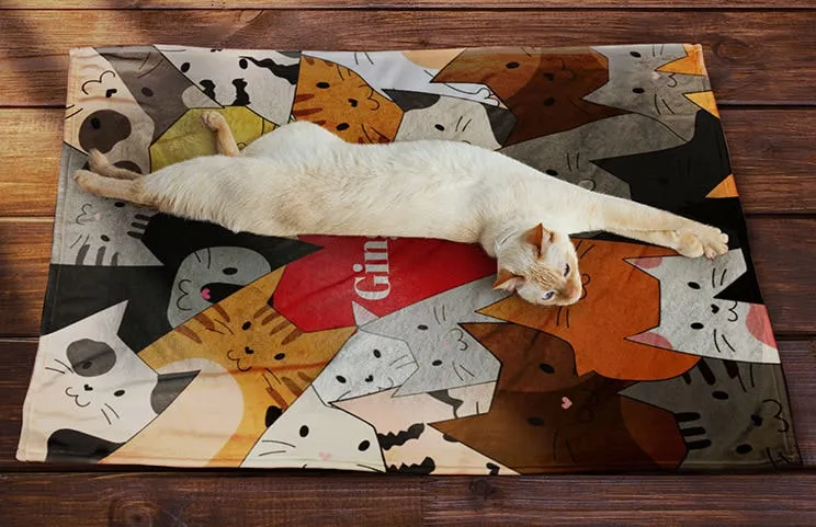 Cat Blankets