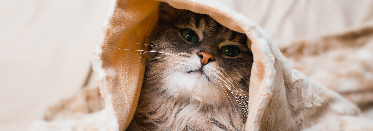 6 helpful tips on how to keep warm this winter with Printerpix