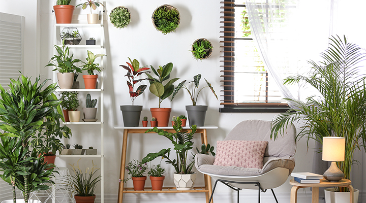 bring spring into your home