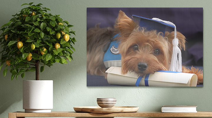 personalized graduation gifts 2023 