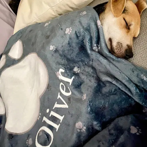 Pet Collage blanket