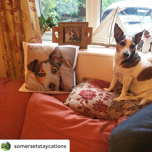 User Generated Content User Reviews