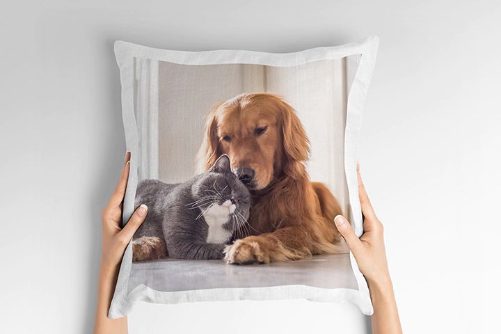Personalized Pet Pillows