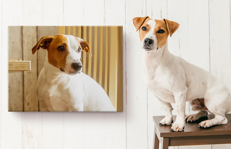 little smiling child in hood on canvas print