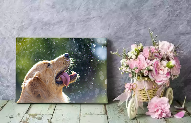 little smiling child in hood on canvas print