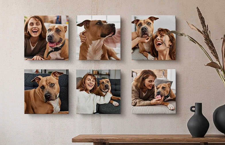 Canvas Panels