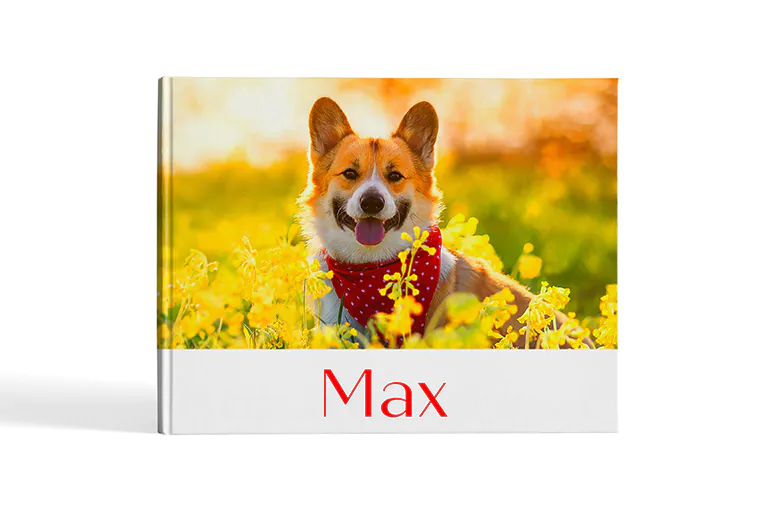 Captioned Photo Books