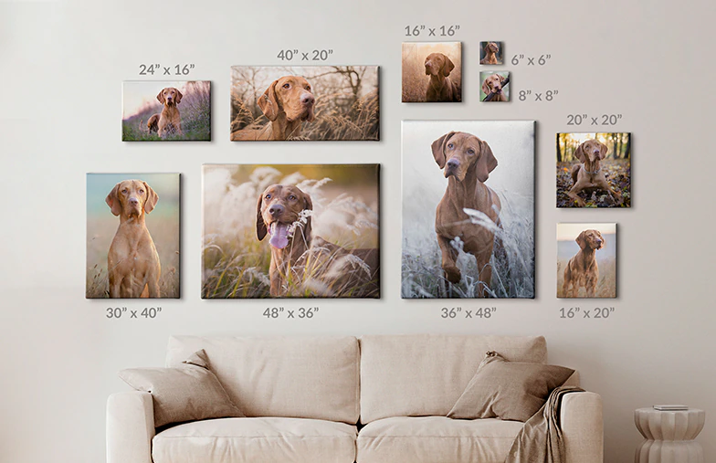 canvas print sizes