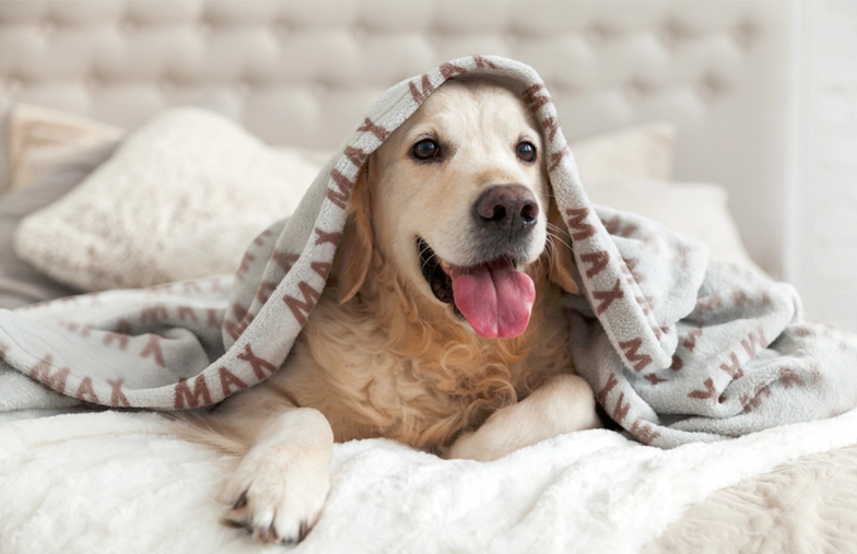 Custom Photo Blankets Create In Under 5 Mins Printerpix