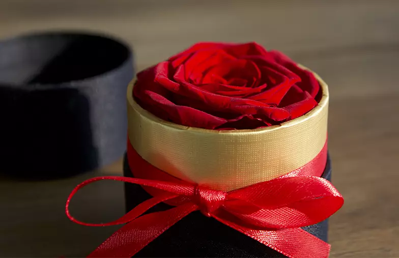 Single Eternal Rose in Round Box