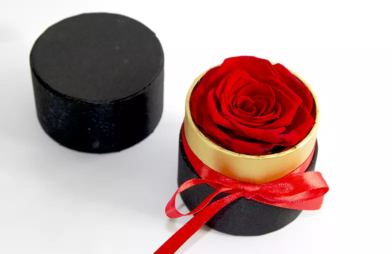 Single Eternal Rose in Round Box