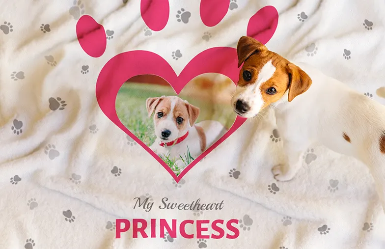 Puppy in bed with custom dog blanket with personalised text design