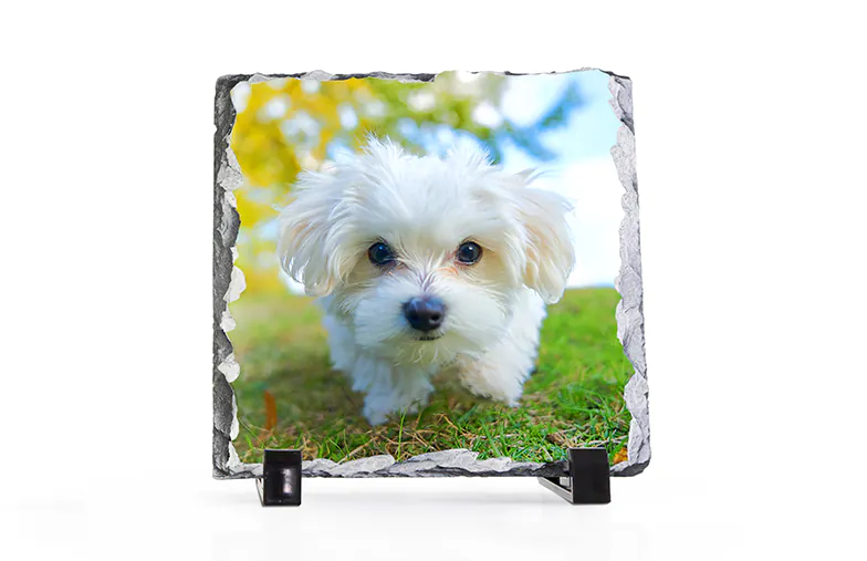 Custom Photo Slate