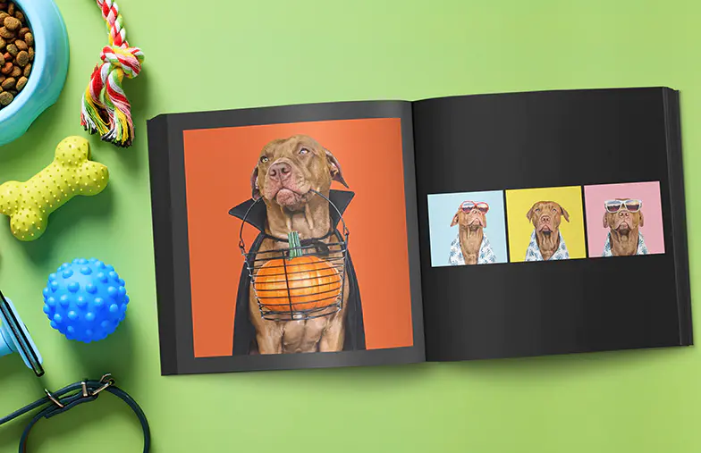 Snapshot Photo Book