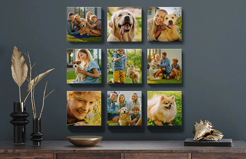 Canvas Panels