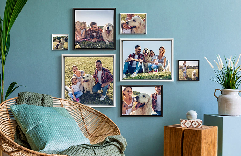 Framed Canvas Prints
