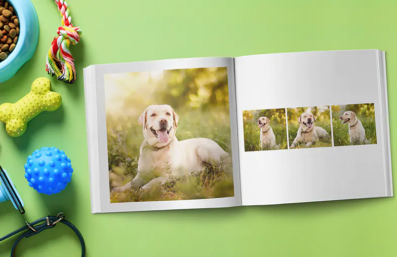 Snapshot Photo Book