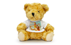 custom teddies