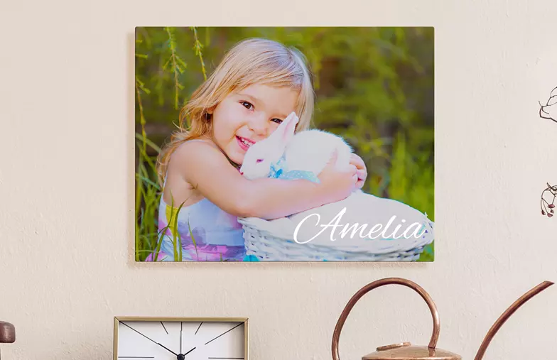 Metal Photo Print by Printerpix|Aluminium photo print of a moutain and a lake being held by woman made by Printerpix|Metal photo print of mom and daughter on bookshelf|A metal print on a wall with a landscape shot; a small metal print of two dogs|A metal print of a bridge with a city skyline in the background|Three metal prints of different sizes showing different landscapes|||||