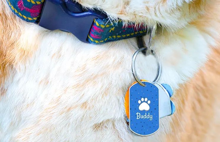 ty custom dog tag