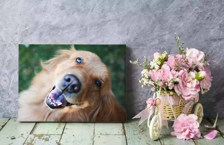 little smiling child in hood on canvas print