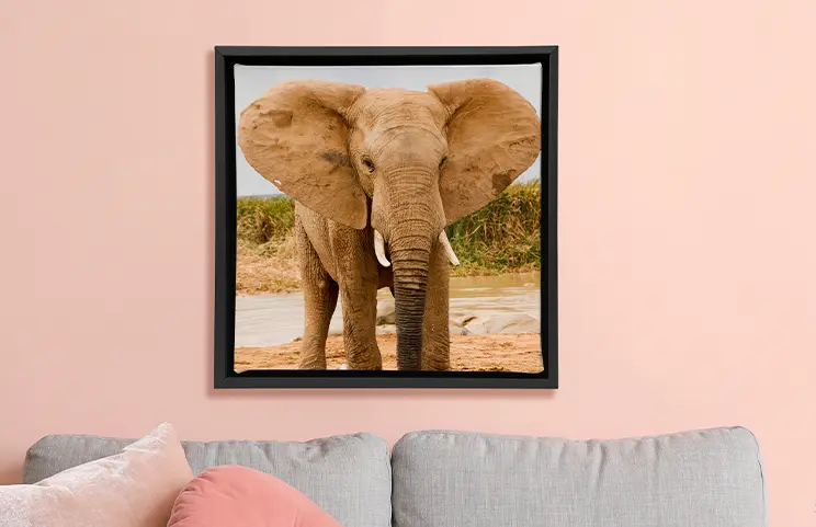 Framed Photo Canvas||||||||||