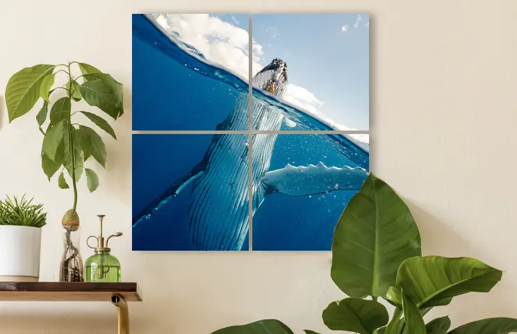 Photo Tiles Prints|Photo Tiles Prints|Photo Tiles Prints|Photo Tiles Prints|Photo Tiles Prints|Photo Tiles Prints|||||