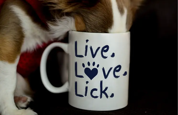 Personalised Photo Mug|Mum and baby holding Printerpix cartoon design custom mug with dad text|Personalised photo mug with picture of baby crawling wearing animal overall|Mom and daughter holding custom designed photo mugs with family photos|Kissing couple with personalized mugs with text on|Personalised photo mug with your own photo of a dog on|||||