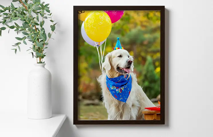 Framed Photo Canvas||||||||||