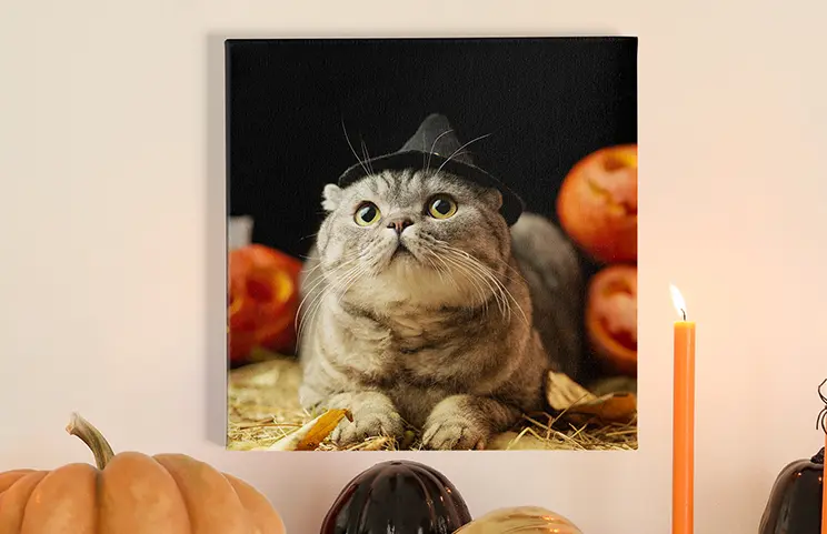 Custom Photo Canvas by Printerpix|little smiling child in hood on canvas print|canvas print sizes|canvas print of a leisurely walk of a couple in the fields|canvas print of a group of joyful young boys and girls running on grass field with joined hands|portrait of a girl on canvas print holding a flower and blowing at it|||||