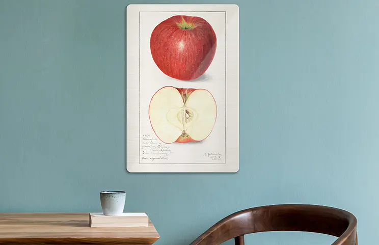 Metal Photo Print by Printerpix|Aluminium photo print of a moutain and a lake being held by woman made by Printerpix|Metal photo print of mom and daughter on bookshelf|A metal print on a wall with a landscape shot; a small metal print of two dogs|A metal print of a bridge with a city skyline in the background|Three metal prints of different sizes showing different landscapes|||||