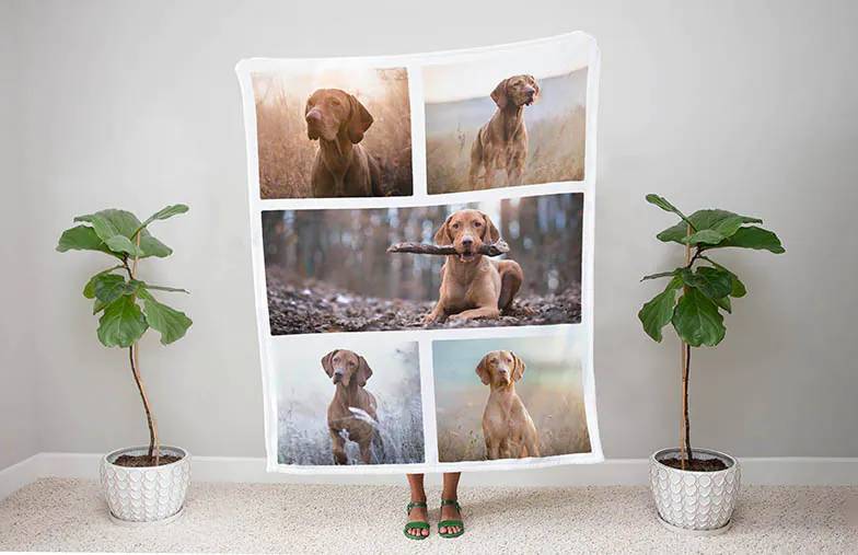 Custom Mink Touch Blanket by Printerpix|Printerpix custom blanket with photos of family|Large custom blanket on double bed with picture of dog photo|Custom blanket with picture of cat|Custom blanket image with size comparison||||||