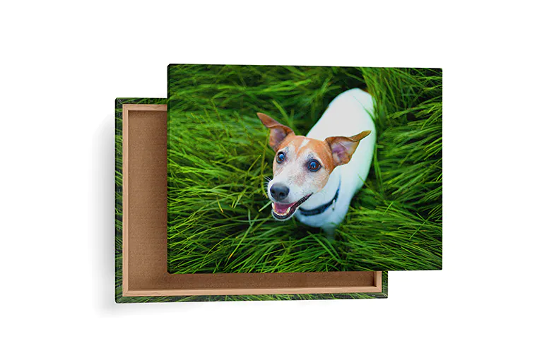 canvas print sizes
