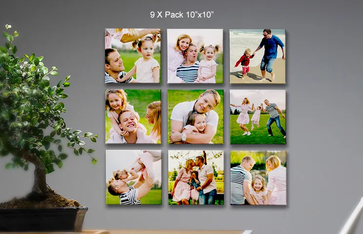 9 pack canvas displays of family in the field