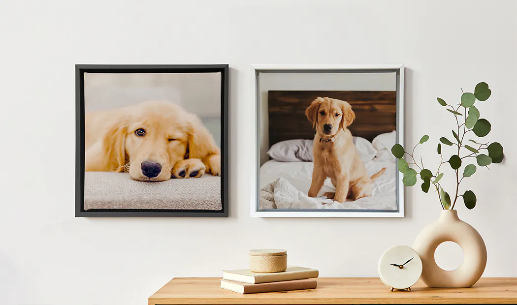 cute dogs on framed canvases