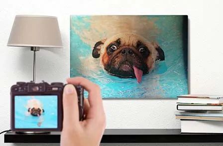 metal prints