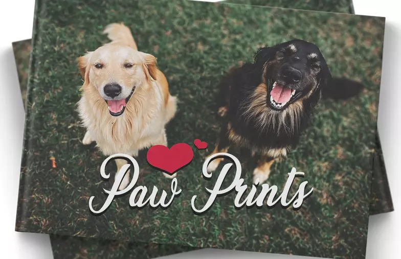 Family photo album with custom printed cover and family name text