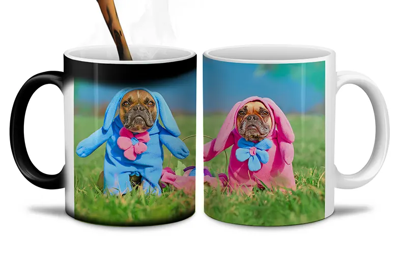 Personalised photo mug with your own photo of a dog on
