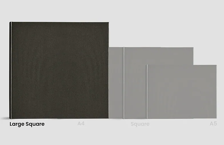 Modern Gray