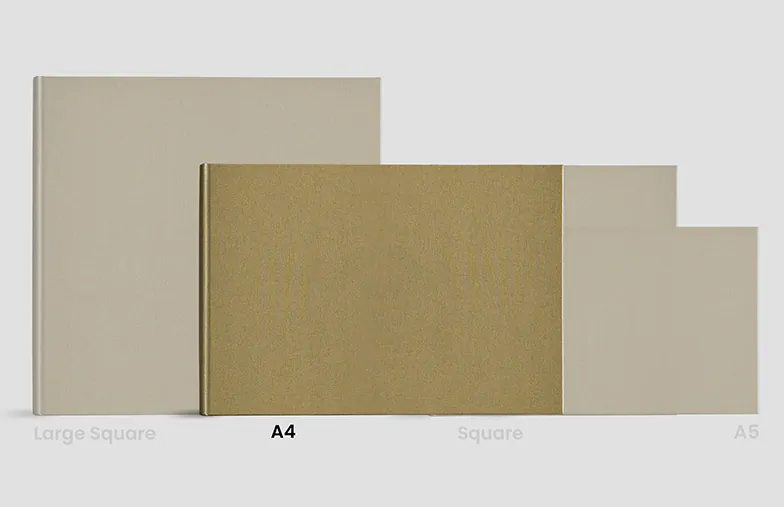 Timeless Beige