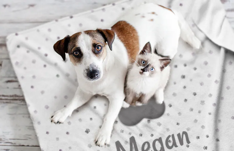 Custom Dog Blanket Personalized Dog Picture Blankets